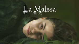 La Malesa's poster