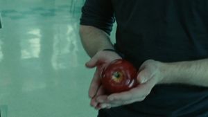 Twilight's poster