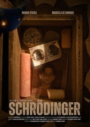 Schrödinger's poster