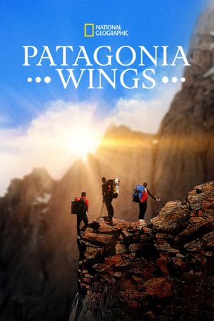 Patagonia Wings's poster