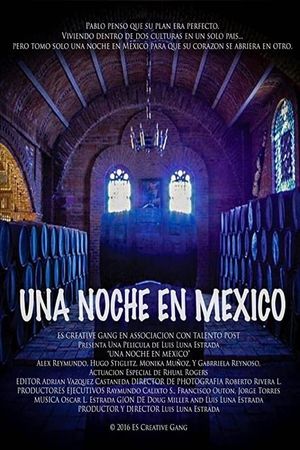 One Night in Mexico's poster