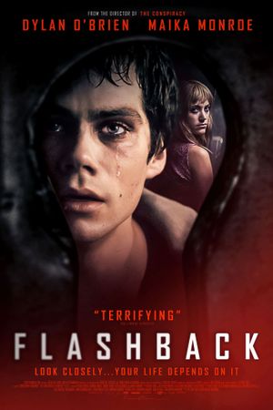 Flashback's poster