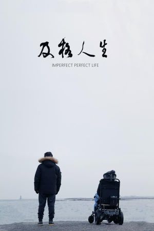 Imperfect Perfect Life's poster