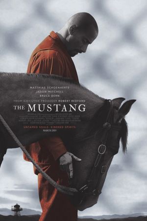 The Mustang's poster