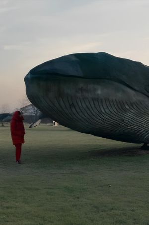 The Silence of Life's poster