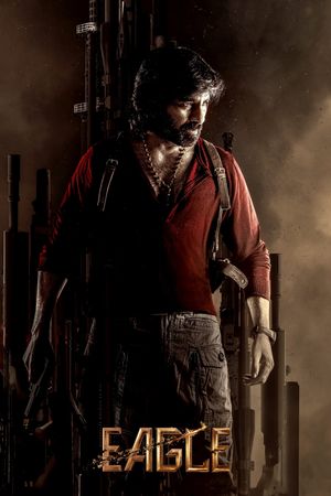 Eagle's poster