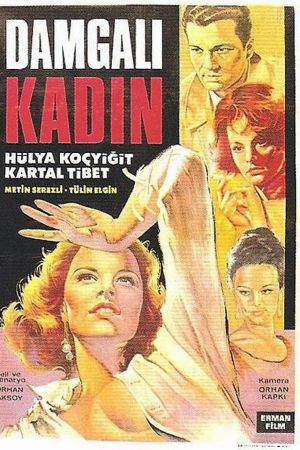 Damgali kadin's poster