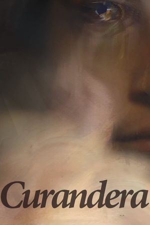 The Healer's poster