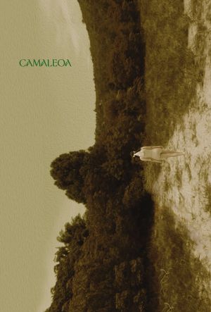 Camaleoa's poster