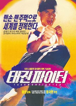 Taekwon Fighter's poster