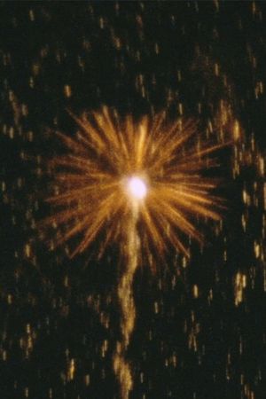 Fireworks's poster
