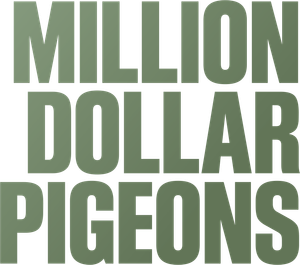 Million Dollar Pigeons's poster