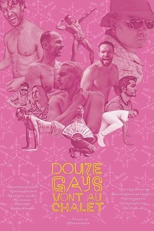 Douze gays vont au chalet's poster