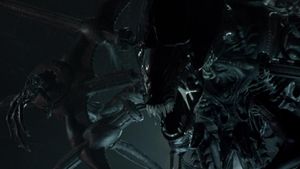 Alien vs. Predator's poster