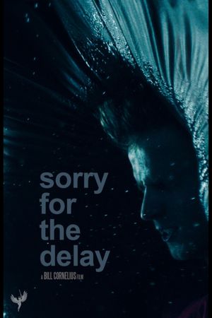 Sorry for the Delay's poster image