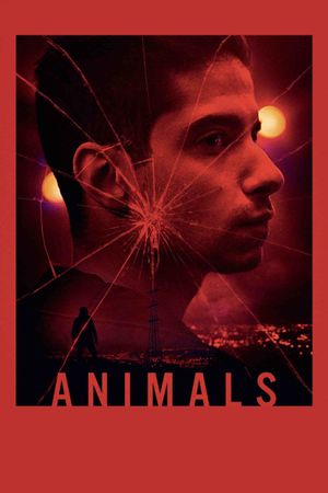 Animals's poster