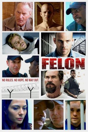 Felon's poster