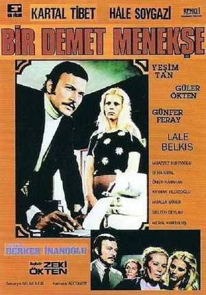 Bir Demet Menekse's poster