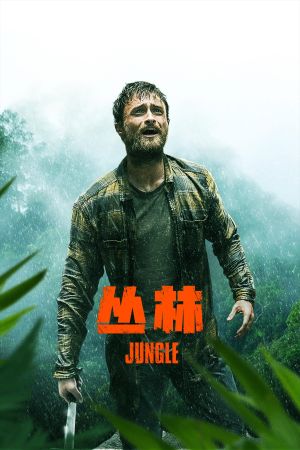 Jungle's poster