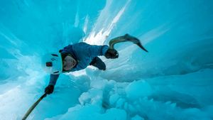 The Alpinist's poster