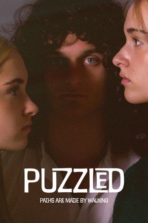 Puzzled - Paths are made by walking's poster