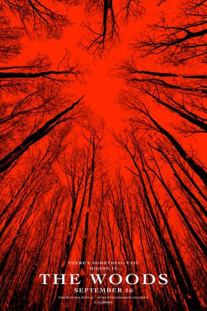 Blair Witch's poster