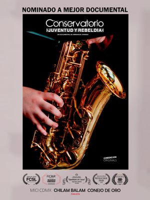 Conservatorio: Juventud y Rebeldía's poster