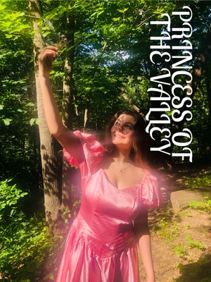 Princess of the Valley's poster
