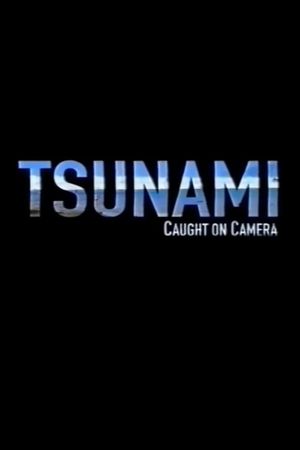 Tsunami: Caught on Camera's poster