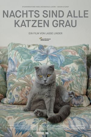 All Cats Are Grey in the Dark's poster