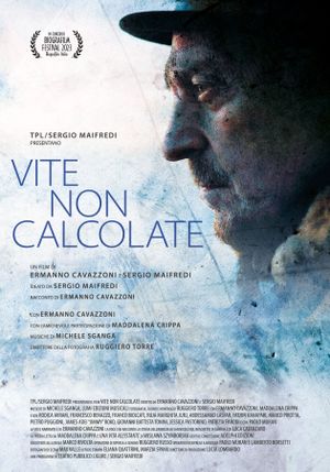 Vite non calcolate's poster image