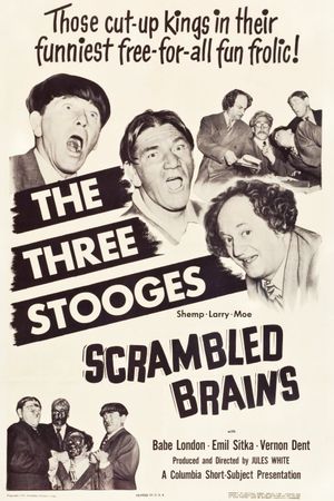 Scrambled Brains's poster