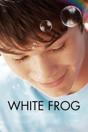 White Frog's poster
