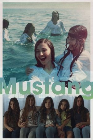 Mustang's poster
