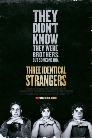 Three Identical Strangers's poster