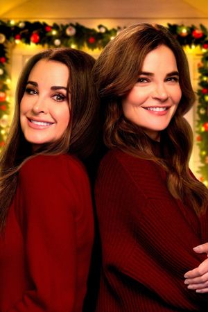 The Housewives of the North Pole's poster