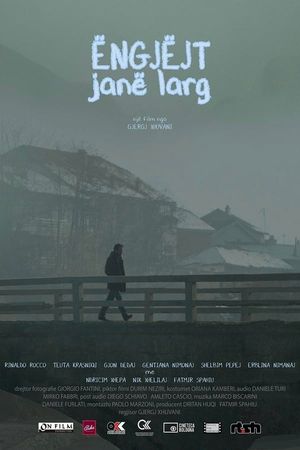 Distant Angels's poster