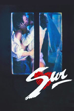 The South's poster
