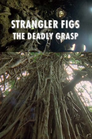Strangler Figs: The Deadly Grasp's poster