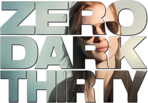 Zero Dark Thirty's poster