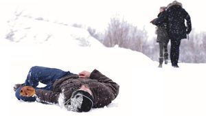 The Captive's poster