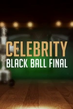 Celebrity Black Ball Final with Steve Davis's poster image