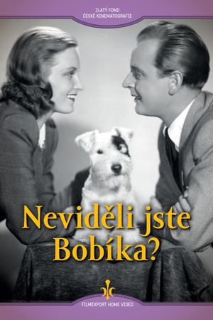 Nevideli jste Bobíka?'s poster