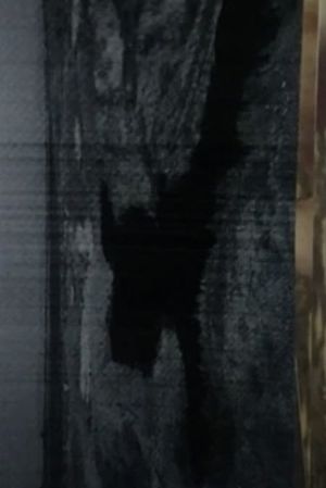 beach's poster
