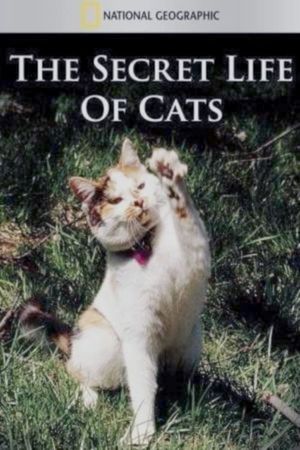 The Secret Life of Cats's poster