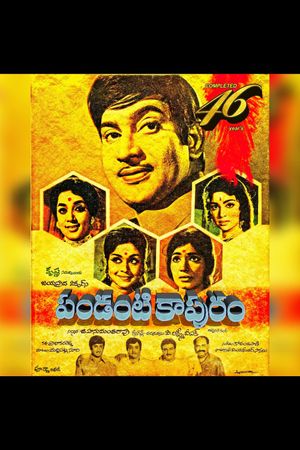 Pandanti Kapuram's poster