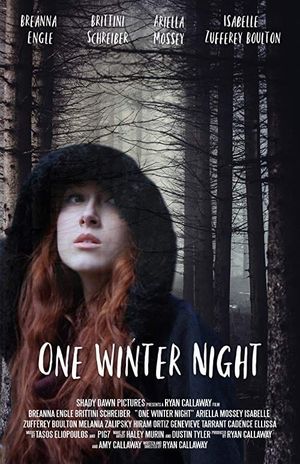 One Winter Night's poster