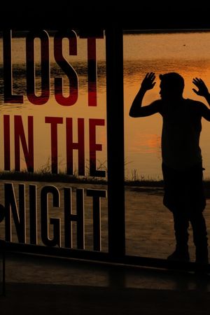 Lost in the Night's poster