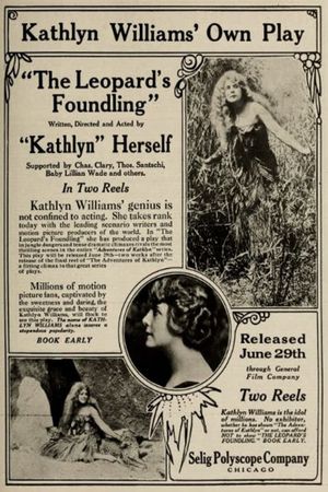 The Leopard's Foundling's poster