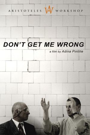 Don't Get Me Wrong's poster